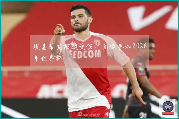 埃基蒂克跟腱受伤，无缘参加2026年世界杯