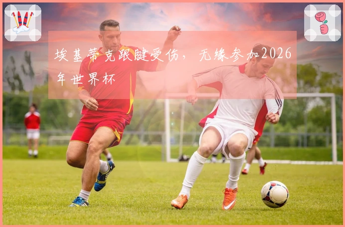 埃基蒂克跟腱受伤，无缘参加2026年世界杯